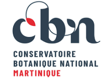 CBNM